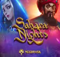 Sahara Nights