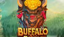 Buffalo Blox Gigablox