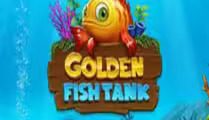 Golden Fish Tank