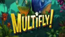 Multifly!