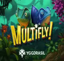 Multifly!