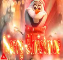 Festive Joy