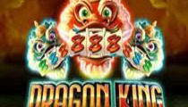 Dragon King Hot Pots