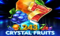 243 Christmas Fruits Deluxe