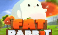 Fat Rabbit