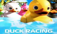 Duck Racing