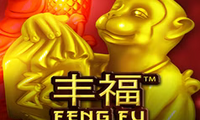 Feng Fu
