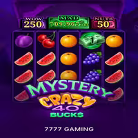 Mystery Crazy 40 Bucks