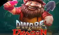 Dwarf & Dragon