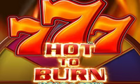 777 Hot to Burn Hold & Spin