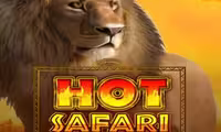 Hot Safari