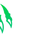 Wild io: обзор игр, выплат и условий