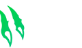 Wild io: обзор игр, выплат и условий