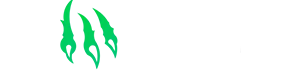 Логотип Wild io