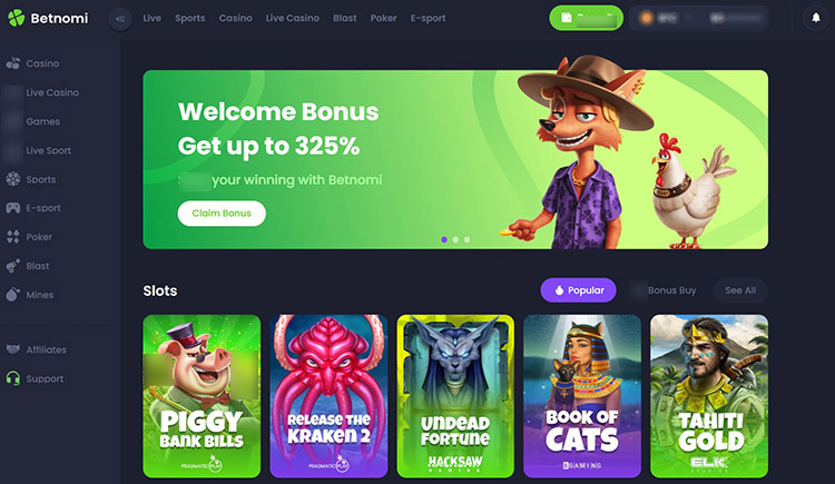 Интерфейс Betnomi
