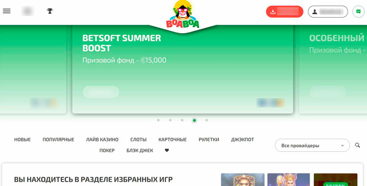 Интерфейс Boa Boa