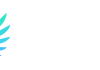 Calibry: обзор игр, выплат и условий