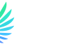 Calibry: обзор игр, выплат и условий