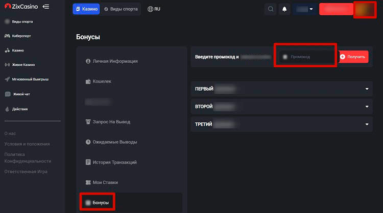 Интерфейс Zix