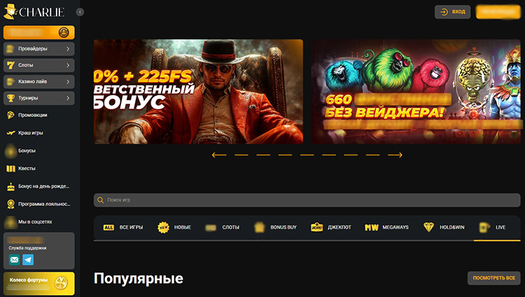 Интерфейс Чарли