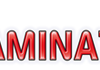 Club Gaminator: предупреждающий обзор и статус