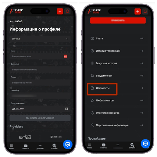 Интерфейс Fleep