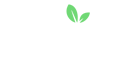 Fruity Casa: предупреждающий обзор и статус