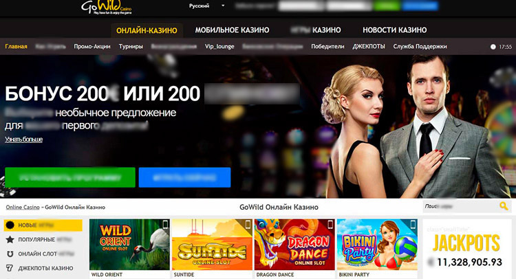 Интерфейс Go Wild