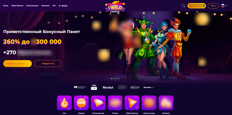 Интерфейс iWild