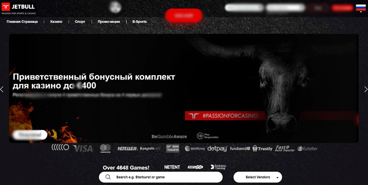 Интерфейс Jetbull