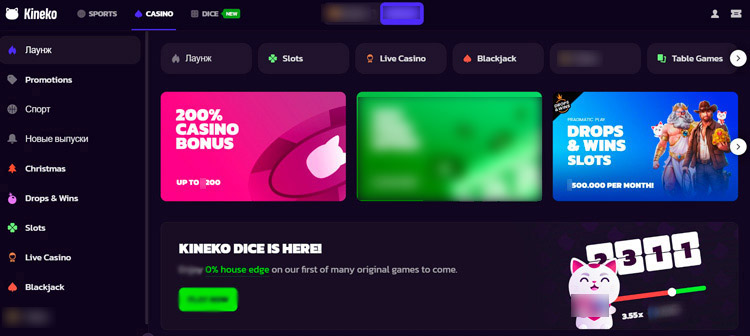 Интерфейс Kineko