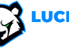 LuckyBear Casino: обзор игр, выплат и условий