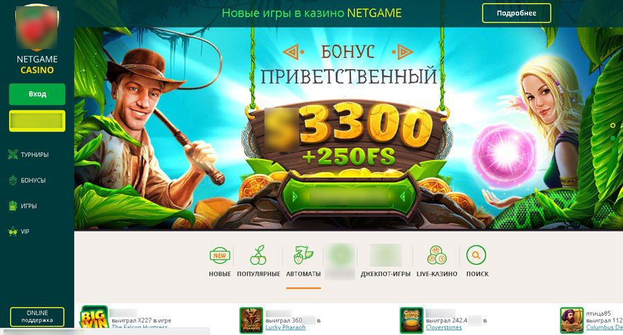 Интерфейс Netgame
