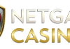 Netgame: предупреждающий обзор и статус