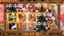Panda Panda