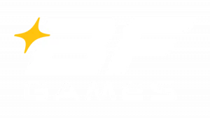 Логотип BF Games