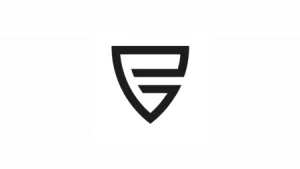 Логотип Push Gaming