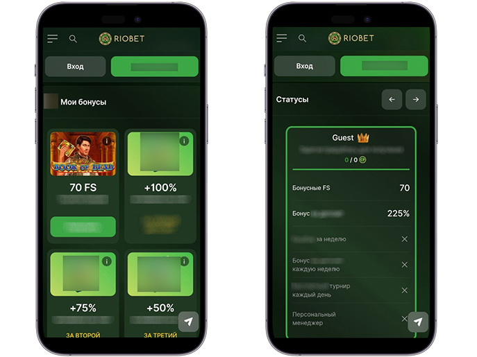 Игровой или мобильный раздел Riobet