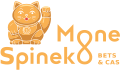 Spineko Casino: обзор игр, выплат и условий