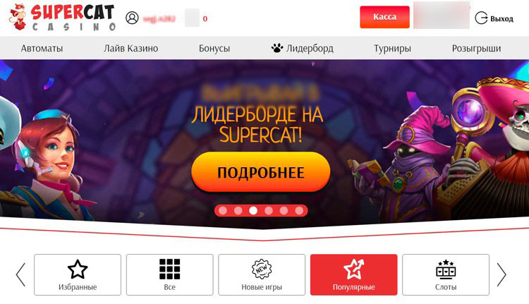 Интерфейс SuperCat