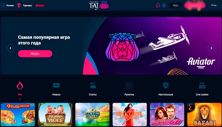 Интерфейс Taj