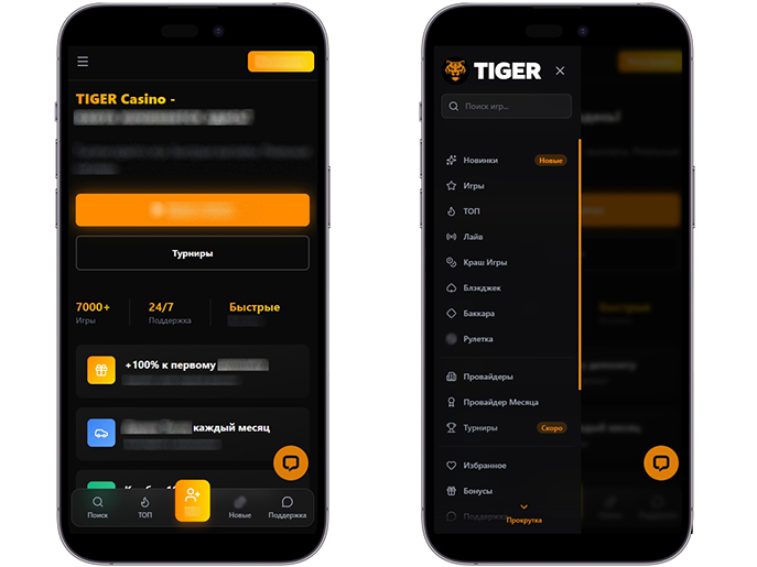 Интерфейс Tiger Casino