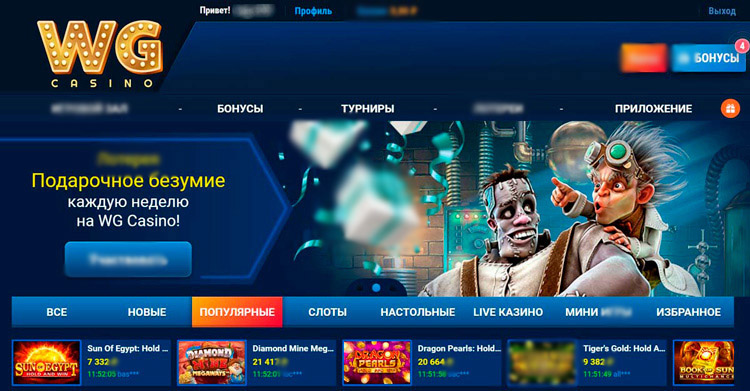 Интерфейс VG