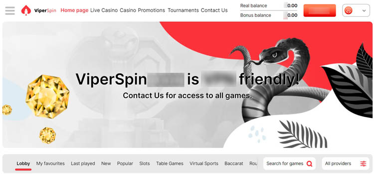 Интерфейс ViperSpin