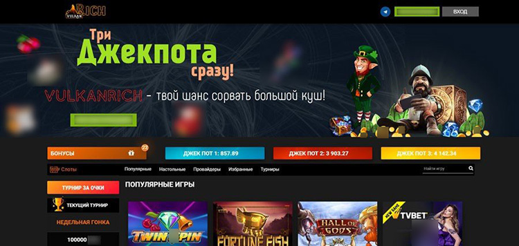 Интерфейс Вулкан Рич