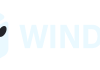 WinDice: обзор игр, выплат и условий