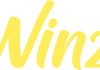 Winz: предупреждающий обзор и статус