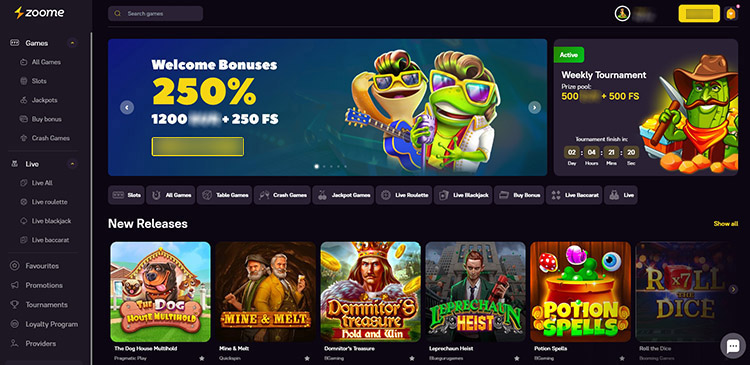 Интерфейс Zoome