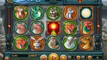 12 Zodiacs