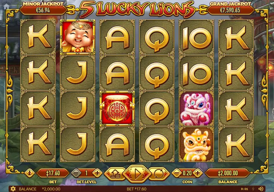 5 Lucky Lions — поле 6 на 4